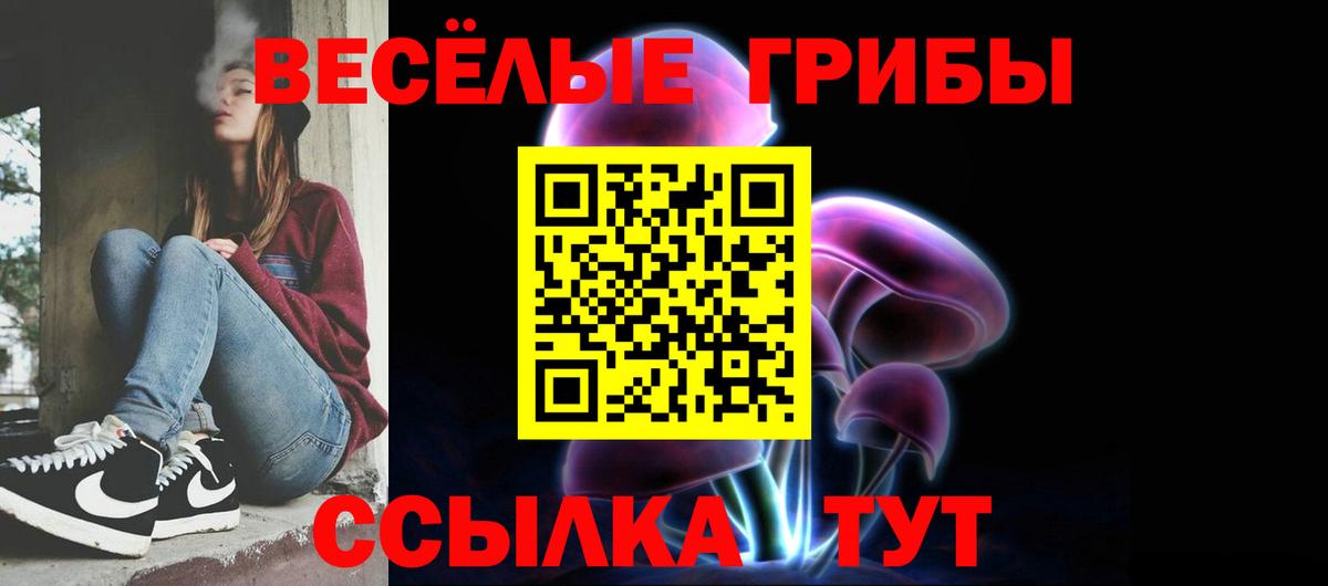 Белогорск  Псилоцибиновые грибы прущие грибы  Вход с VPN 
